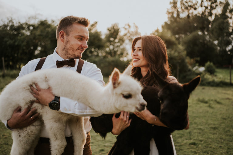 Ula i&nbsp;Grzesiek – plener ślubny z&nbsp;alpakami